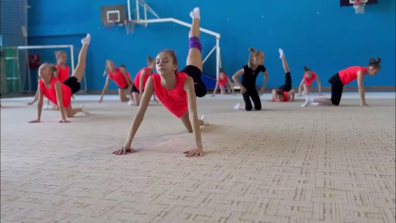 Упражнения гимнастов брибмен
