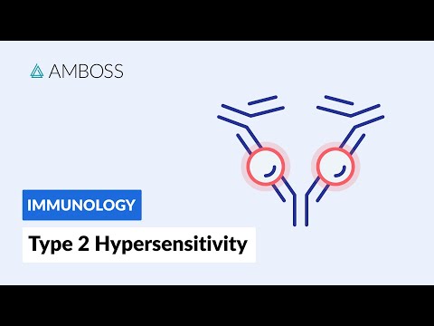 Antibody-Dependent Cell-Mediated Cytotoxicity: Type II Hypersensitivity Reaction