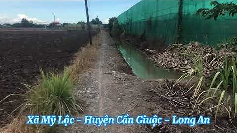 Bán 2000m đất thổ cư 1600m đất lúa - Xã Mỹ Lộc Huyện Cần Giuộc tỉnh Long An 17T Zalo 0786668368