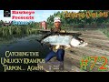 Fishing planet 72  christmas event 2023  catching the unlucky krampus tarpon again