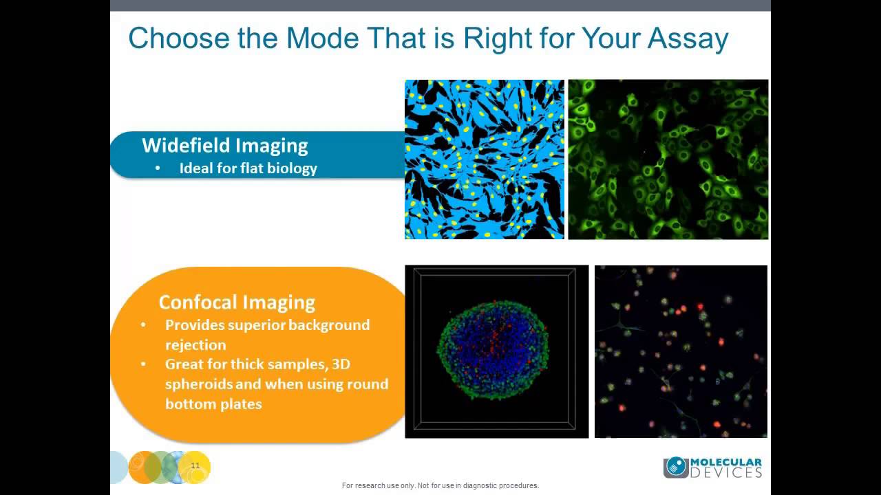 Jayne Hesley - Grischa Chandy - Multidimensional High Throughput Imaging with the New ImageXpress Mi