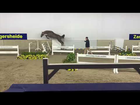 ALIBABA van het Schaeck