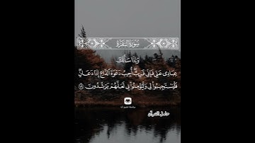 وإذا سألك عبادي عني فإني قريب #سورة_البقرة #مشاري_العفاسي #حامل_القرآن #إسلاميات #قرآن #شهر_رمضان