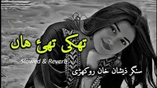 Saraiki Song Thaki Thai Han Zeeshan Khan Rokhri | Slowed & Reverb Song #saraiki