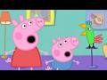 Peppa Pig CANLI 🧸 En İyi Bölümler | Çocuklar İçin Çizgi Filmler