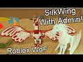 SilkWing With Admin | Roblox Wings of Fire SilkWings Development Info