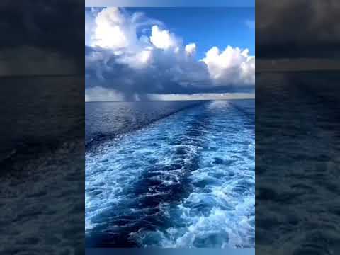 تعبق منك رائحة ذكية تفكرنى بأيام شجية اخى انته الذى احتاج مه ام كبرت حاجتى سر مدية