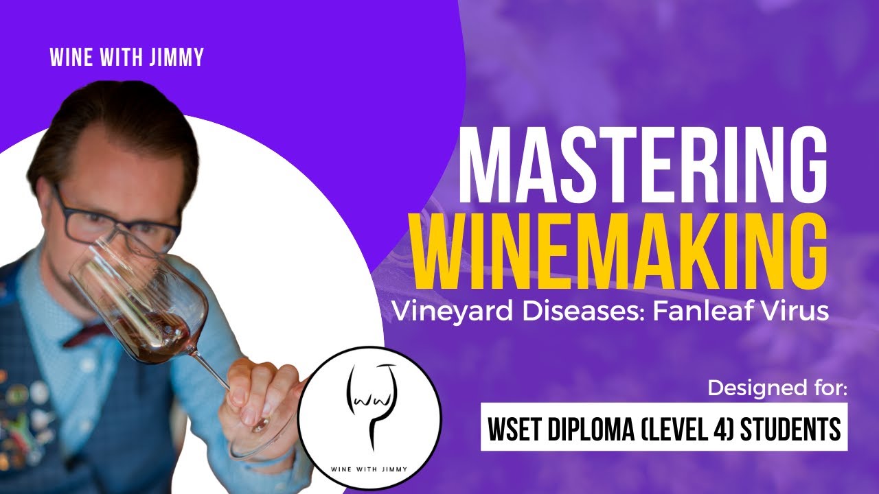 WSET Level 4 (WSET Diploma) Mastering Vineyard Viral Diseases Fanleaf Virus