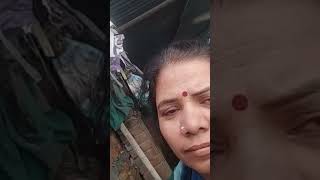 gayon ko kaise paalte hain