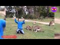 ESSAYER DE NE PAS RIRE 20202 VIDEO DROLE À MOURIR DE RIRE ESSAYER DE NE PAS RIRE 20202 VIDEO DROLE À MOURIR DE RIRE