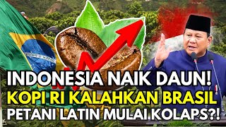 Download Lagu KOPI RI GUNCANG DUNIA! Brasil Terdesak, Petani Amerika Latin Menjerit! MP3 Download Lagu KOPI RI GUNCANG DUNIA! Brasil Terdesak, Petani Amerika Latin Menjerit! MP3