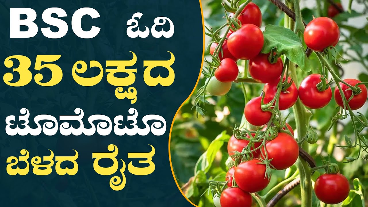 ಯಾವ ತಿಂಗಳಲ್ಲಿ? ಯಾವ ತಳಿಯ 