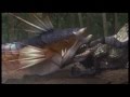 Monster Hunter Evolution