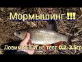 Тест ультро-лайта !!! Язь на Мормышинг это КАЙФ))))))))))