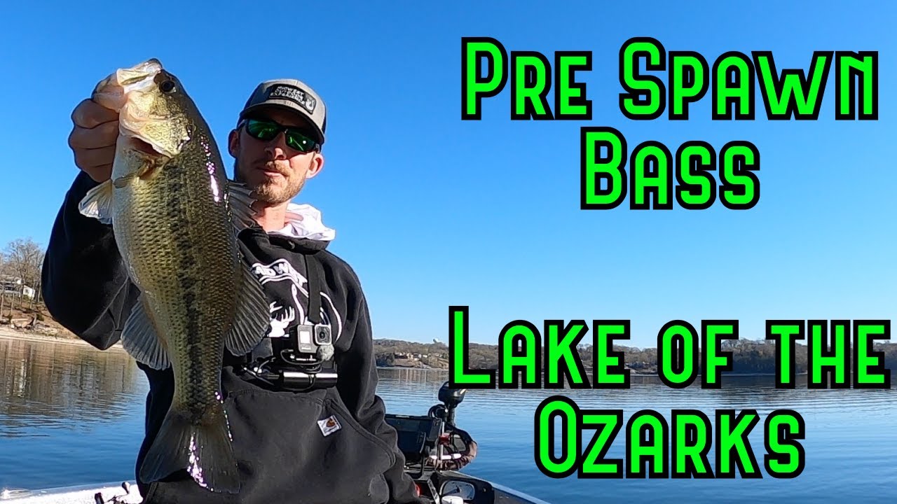 April Pre Spawn Bass | Lake of the Ozarks