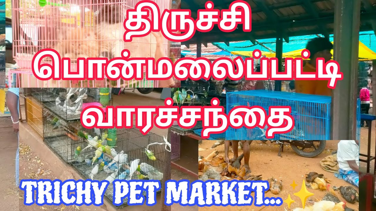 tirchy-ponmalai-pet-market-youtube