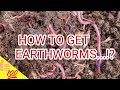 Vermicomposting-Part 3 How to get earthworms for vermicomposting??