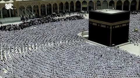 سورة التين بصوت الشيخ أسامة بن عبدالله خياط من المسجد الحرام 