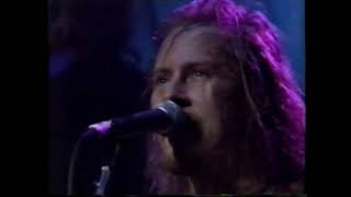 Alice In Chains - Pro TV Archives 1991-1996 (HD1080 60F)