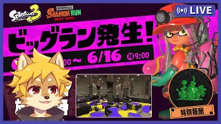 【参加型】地獄の #ビッグラン が帰ってきた！ #復刻ビッグラン / マテガイ放水路【べすれい】