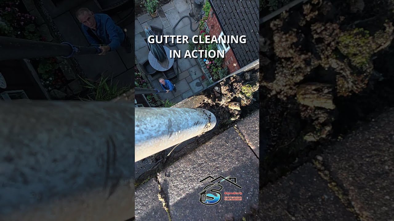 Gutter Cleaning