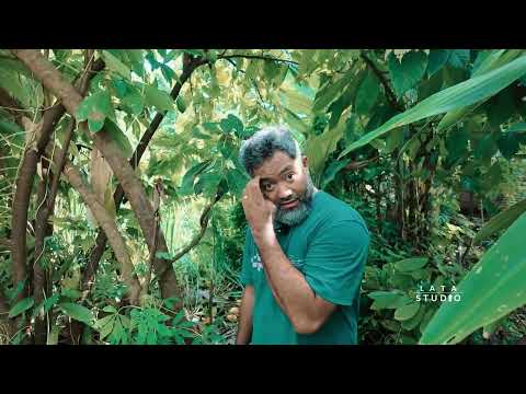 Koliga Koko 06 Nov 25 Video By Lata Studio