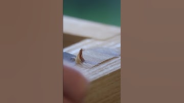 Flush Cutting Tenons With A Chisel #shorts #asmr #woodworking