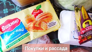 небольшие покупки и рассада в этом году