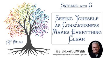 See Yourself as Consciousness Makes Everything Clear - Non Duality Conversations - Satsang Excerpts