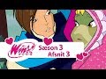 Winx Club – Sæson 4 Afsnit 3 – [AFSNIT I FULD LÆNGDE]