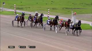 Vidéo de la course PMU PRIX DIERENARTSPRAKTIJK DE HULSBERG