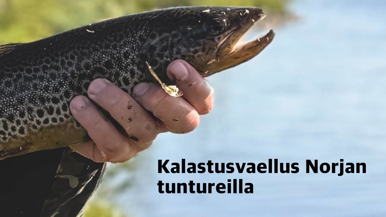 Norjan Rekkari Kalavesien äärellä – Kalastusvaellus Norjan tuntureilla | Kalastus ...