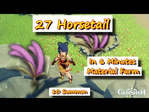 27 Horsetail in 6 Minutes Material Farm +10 Summon
