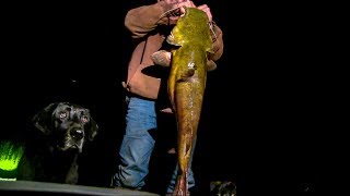 Seven Winter Catfishing Tips To Catch More Catfish