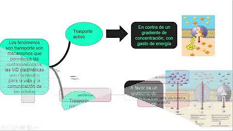 Mi video 1