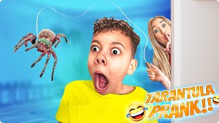 TERRIFYING Tarantula PRANK!!!