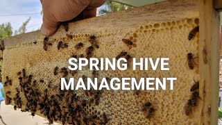 Spring Bee Hive Management. Bottom box empty?