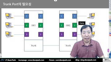 802 1q Trunk 동작원리