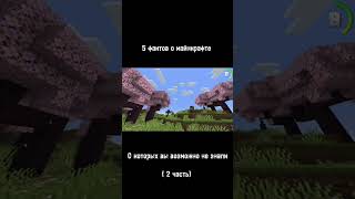 5 фактов о которых вы могли не знать! #майнкрафт #майн #maincraft