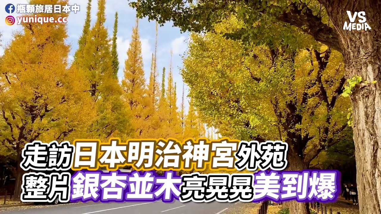 走訪日本明治神宮外苑整片銀杏並木亮晃晃美到爆 Vs Mediaｘ 瓶顆旅居日本中 Youtube