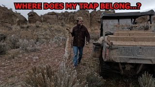 SET LOCATION FOR BOBCAT TRAPPING.... Also,  ' I put my trap under their feet' theory explained