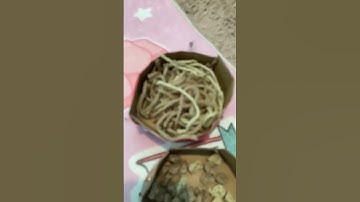 Thumbnail of making food bowls and food #newmusic #music #song #spotify #lyrics #chickensoupforthesoul #soupstock