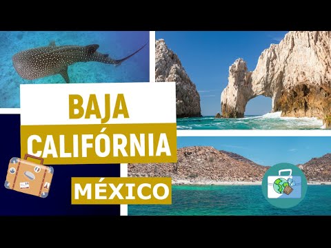Vídeo: Como observar baleias em Baja California Sur, México