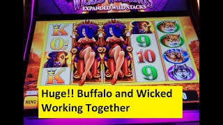 Huge Win on the New Buffalo and Friends Slot! Aristocrat Game