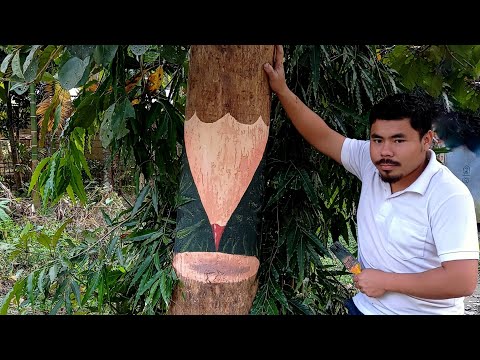 Easy 3D tree Illusion painting / tree Illusion art.
