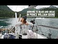 Arriving to Bears and Orcas in Prince William Sound - Ep. 119 RAN Sailing
