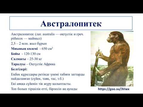 III - тоқсан, Биология, 10 сынып, Антропогенез кезеңдері. Проантроптар. Архантроптар. Палеоантроптар