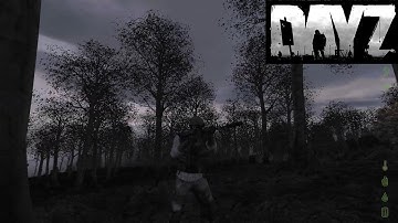 DayZ Mod - The Hero Skin