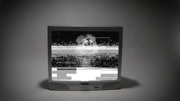 Lambda Chi Fall Rush 2021