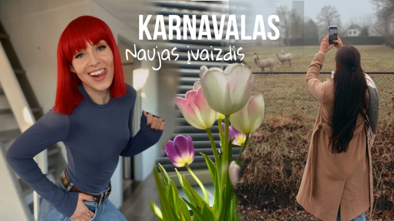 Naujas įvaizdis?!👩🏼‍🦰 Olandiškas karnavalas 💃🏻🪩